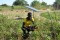 Nicolas DIOUME  site maraicher 2 village Gadiack N°2 