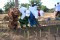 suivi ferme femmes du groupement pepinières Oignons village Gaye Yacine 