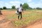 PDI arraosant PAUPARC PADI site maraicher Bio Dédougou 