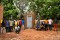 Photo 37_Sourkoudougou